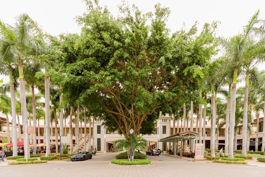 Pelicanstay In Coral Gables Miami Kültér fotó